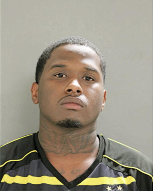 DARRELL A JOHNSON, Cook County, Illinois