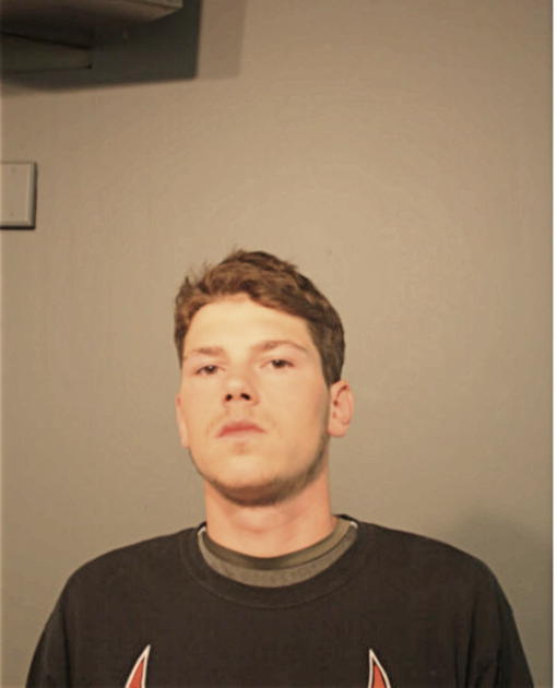 JAMES P LAMB, Cook County, Illinois
