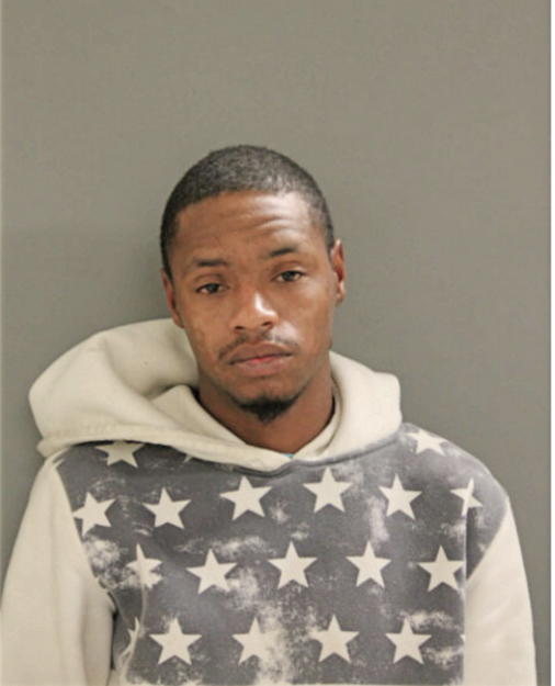 DOMINIC T LEWIS, Cook County, Illinois