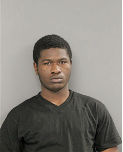 KAELYNN T LOGAN, Cook County, Illinois
