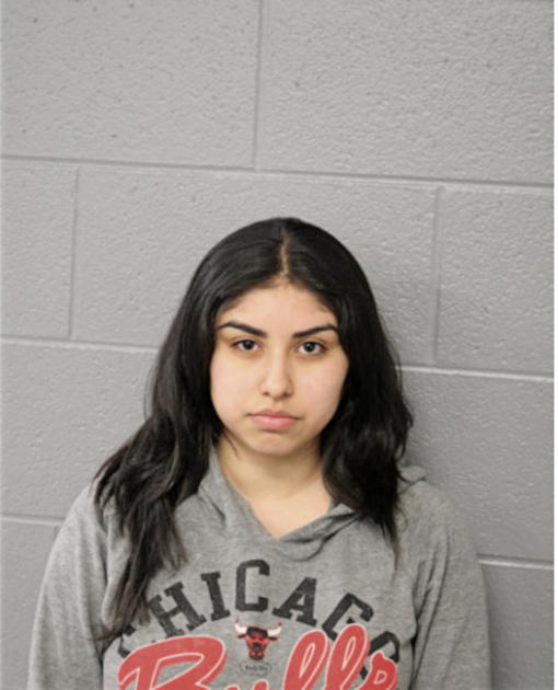 ALEJANDRA ORTEGA, Cook County, Illinois