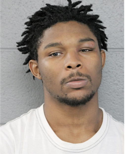 JEREMIAH T PERRY, Cook County, Illinois