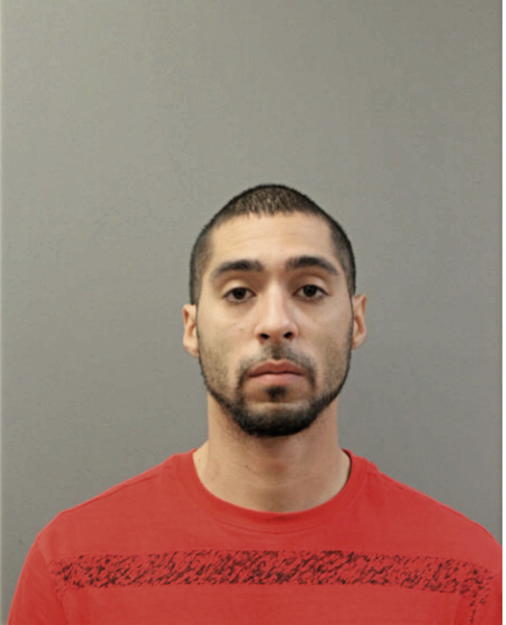 LUIS A RIVERA, Cook County, Illinois