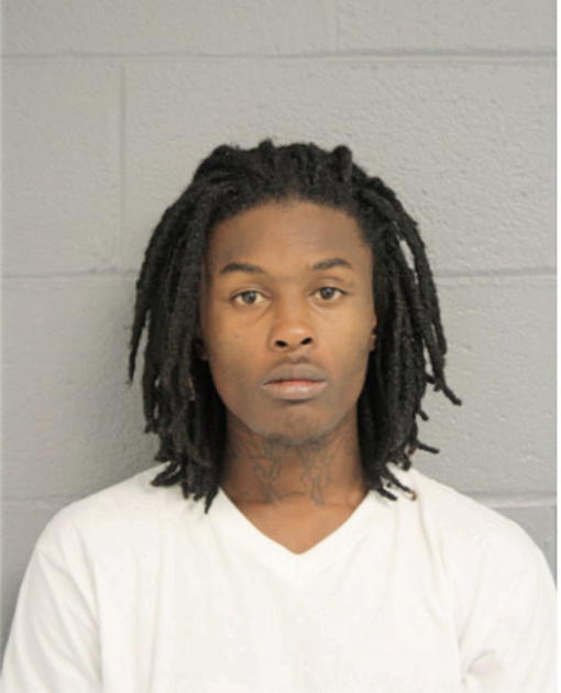 MICAHEL D RIVERS, Cook County, Illinois