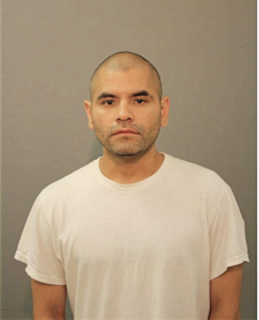 JUAN M ROBLES, Cook County, Illinois