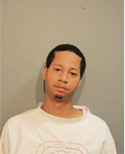 MITCHELL H SPINKS, Cook County, Illinois