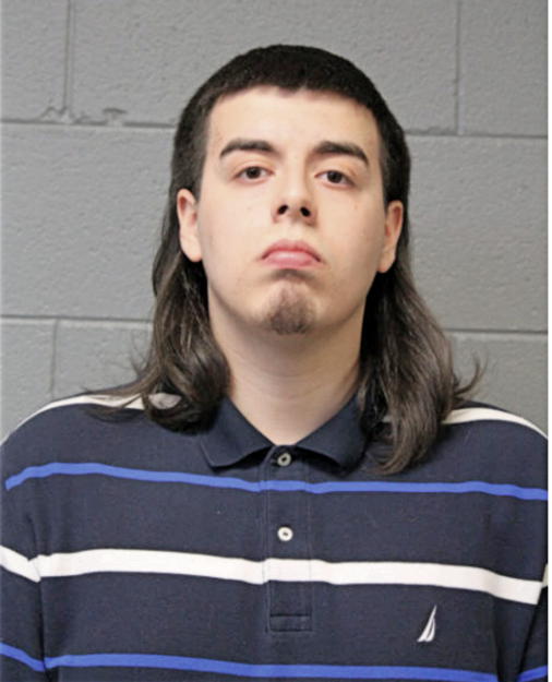 ANDRES VITOGIANNIS, Cook County, Illinois