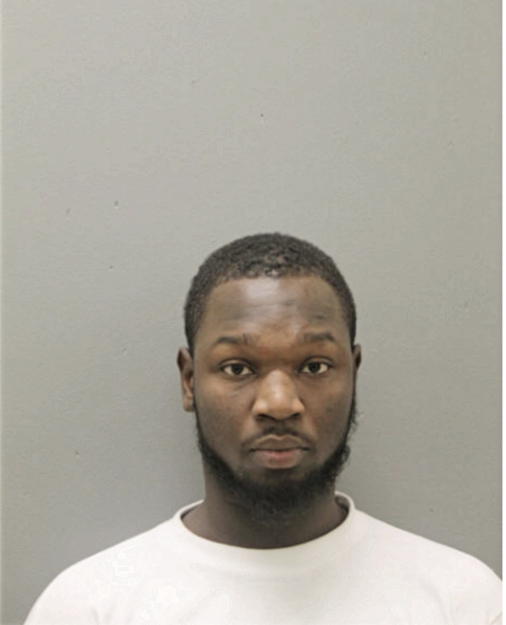 ANDRE J WHITE, Cook County, Illinois