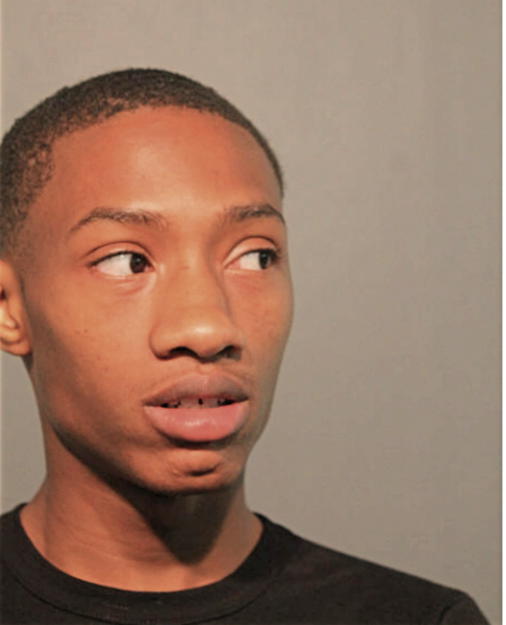 TAURUS D YOUNG, Cook County, Illinois