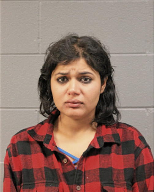 FNU ABHIRAJIKA, Cook County, Illinois