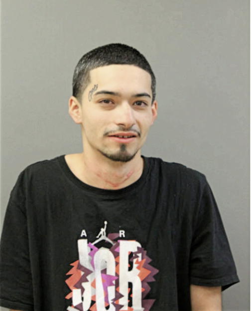 MARCOS JR ALARCON, Cook County, Illinois