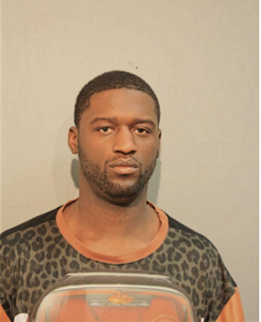 ROBERT P AMERSON, Cook County, Illinois