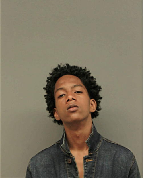 ALHOUSSEIN BAH, Cook County, Illinois