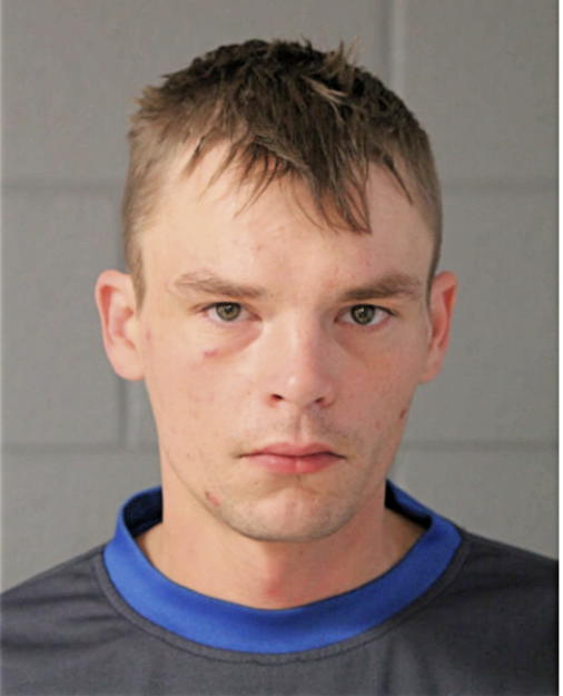 NATHANIEL A BOROWSKI, Cook County, Illinois