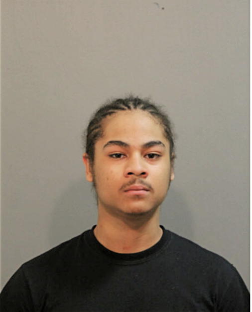 KAMAURI L CAMARILLO, Cook County, Illinois