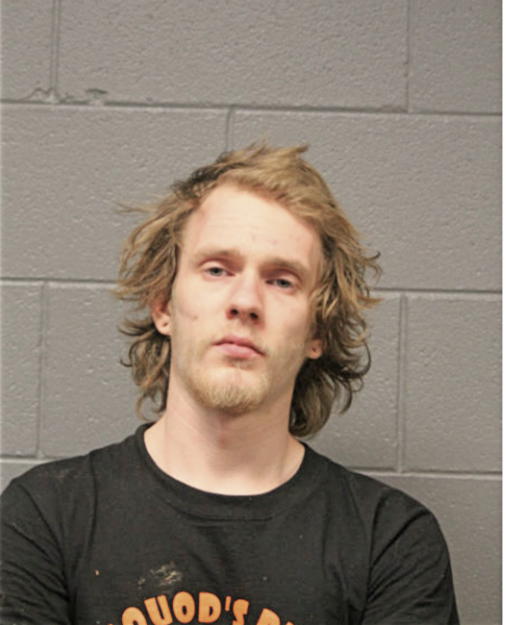 MATTHEW T CANALE, Cook County, Illinois