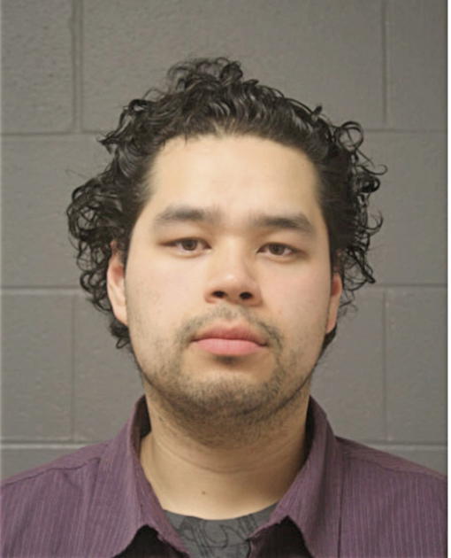 HARRY D CERRATO, Cook County, Illinois