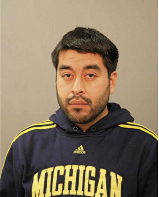 LUIS A CORTEZ, Cook County, Illinois
