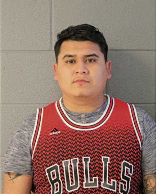 EDUARDO R DELARDSA, Cook County, Illinois