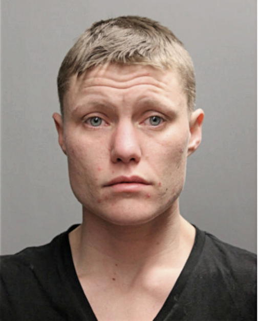 LINDSEY E DONAGHY, Cook County, Illinois