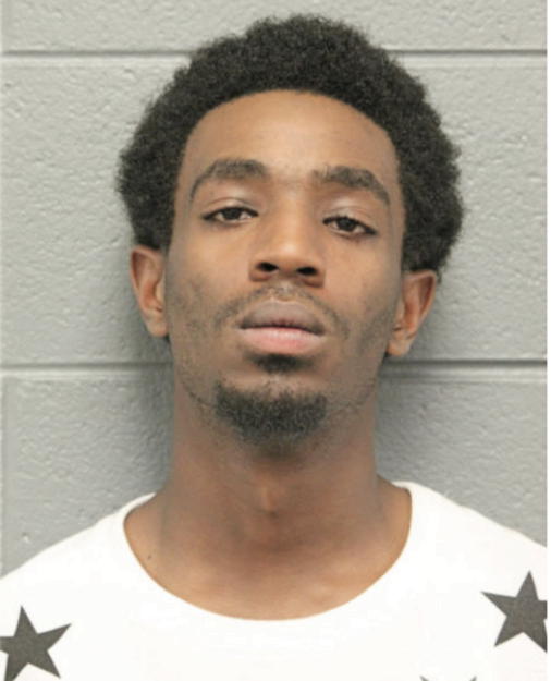 CHARLES L EWING, Cook County, Illinois