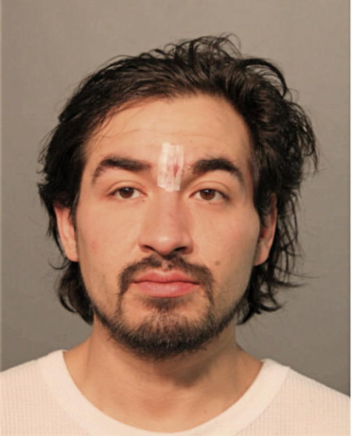 MARCO FAJARDO, Cook County, Illinois