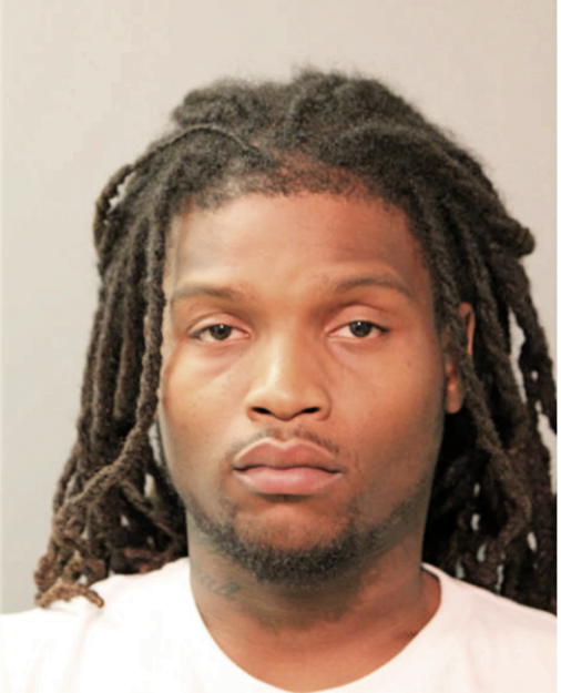 TERRON D FLEMING, Cook County, Illinois