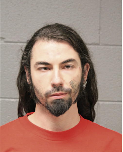 ALEXANDER GOLDIN, Cook County, Illinois