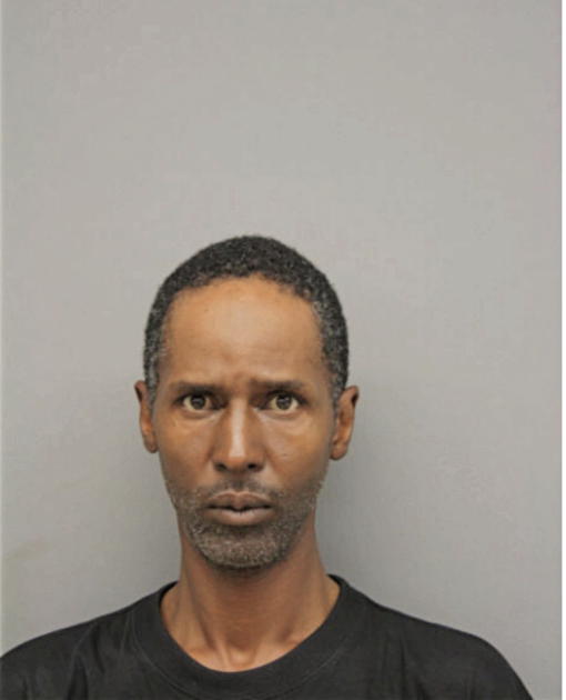DAVID HANES, Cook County, Illinois
