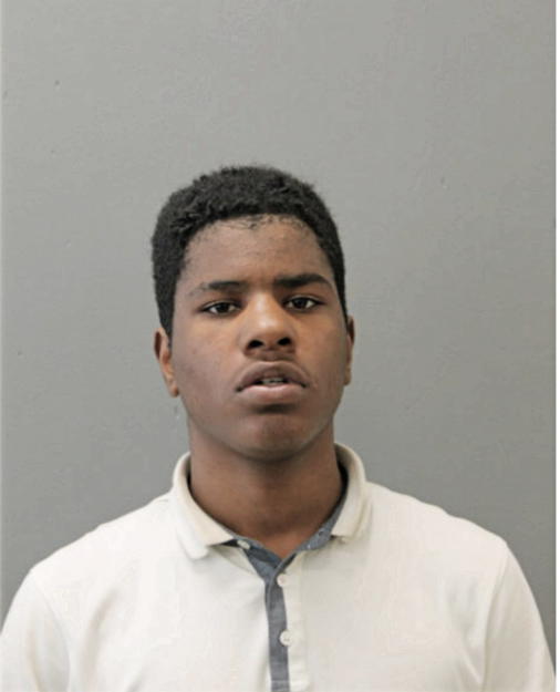 RANDY JOHNSON, Cook County, Illinois