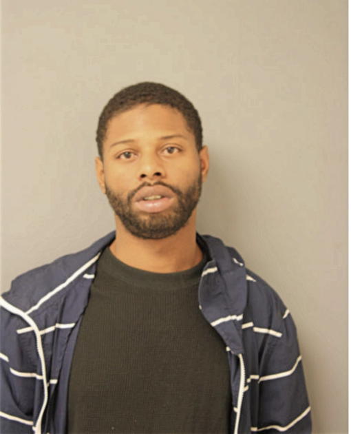 TERRANCE N JOHNSON, Cook County, Illinois