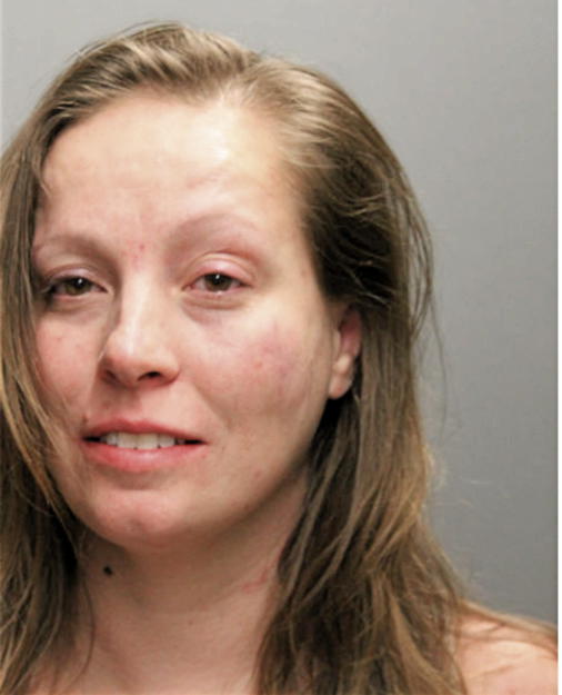 MELISSA A PERRON, Cook County, Illinois