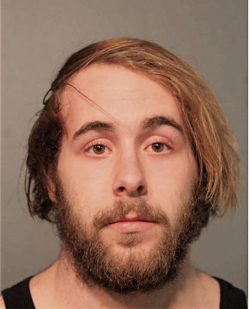 COLLIN D ROBARDS, Cook County, Illinois