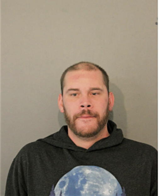 MICHAEL S SCHMIDT, Cook County, Illinois