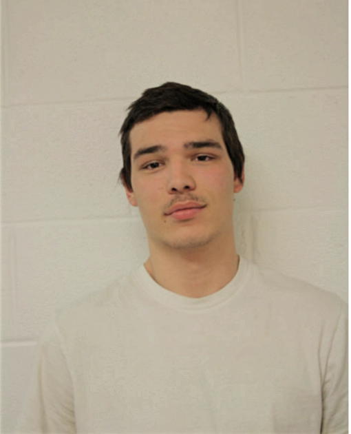 ALEX J SCHMITZ, Cook County, Illinois