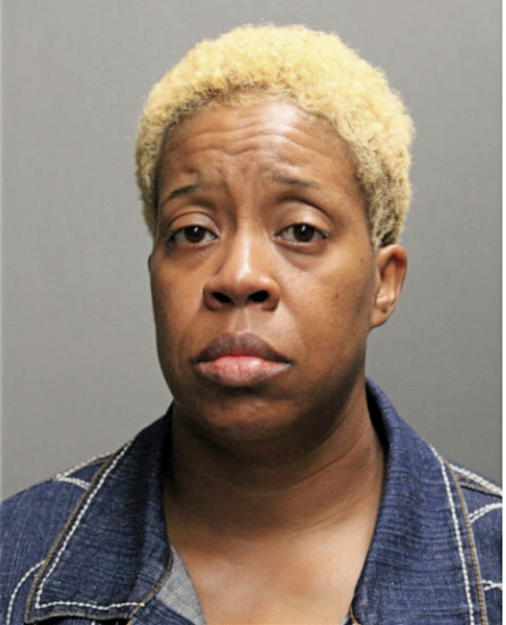 JESSICA L STINGLEY-NORMAN, Cook County, Illinois