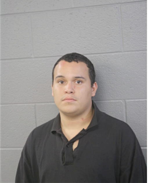 JULIAN TREVINO, Cook County, Illinois