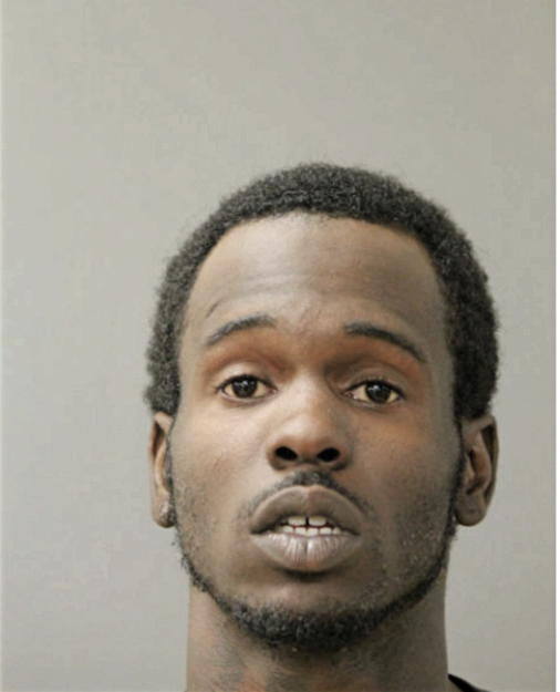 LESHAWN D TURNER, Cook County, Illinois