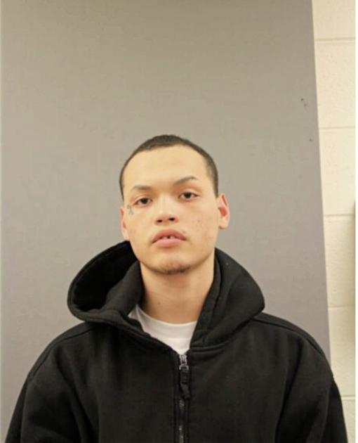 DAVID J VASQUEZ, Cook County, Illinois