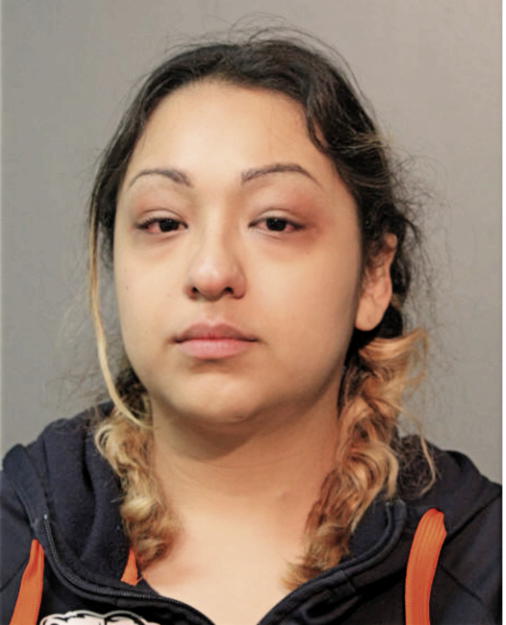 VIRI D VEGA, Cook County, Illinois