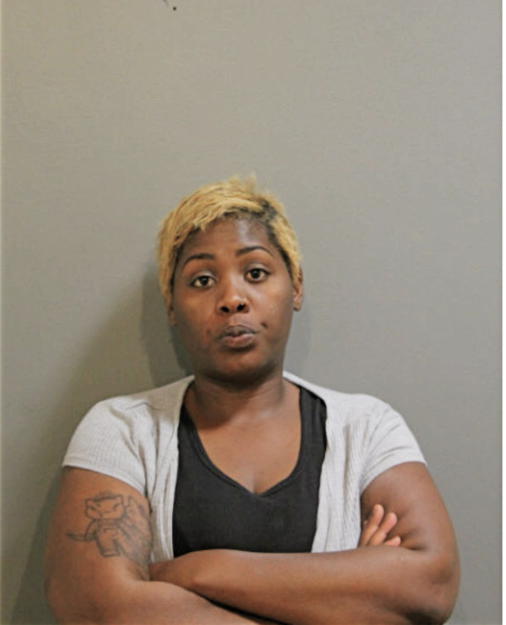 DANIELLE A WILSON, Cook County, Illinois