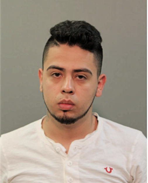 ROBERTO D AVILA, Cook County, Illinois