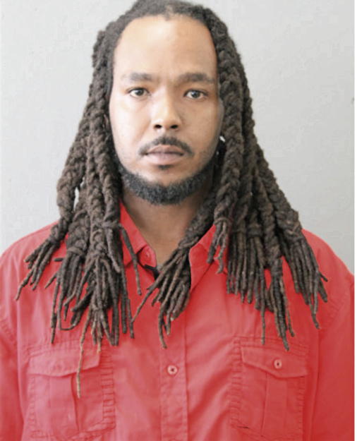JESSE L BOGAN, Cook County, Illinois