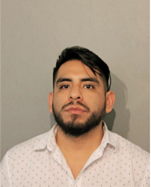RICARDO CAMARGO, Cook County, Illinois