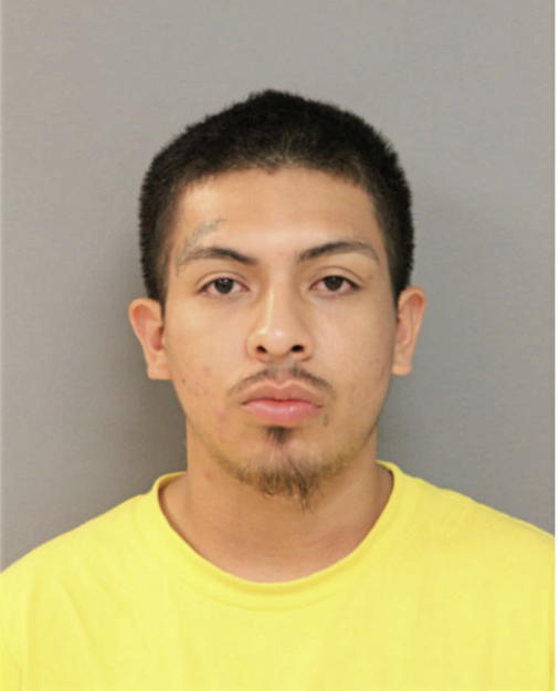 ERWIGN DELGADO, Cook County, Illinois