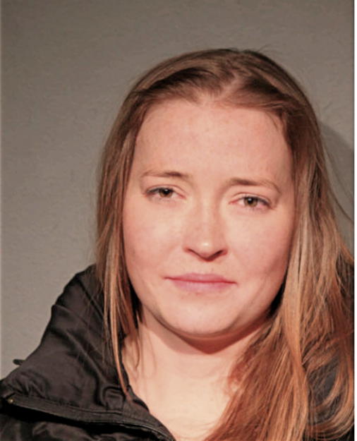 ALISSA L DUBICKI, Cook County, Illinois