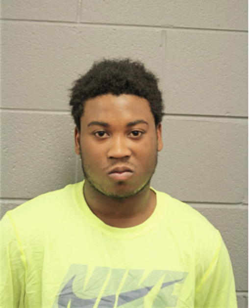 MICHAEL S ELAM, Cook County, Illinois