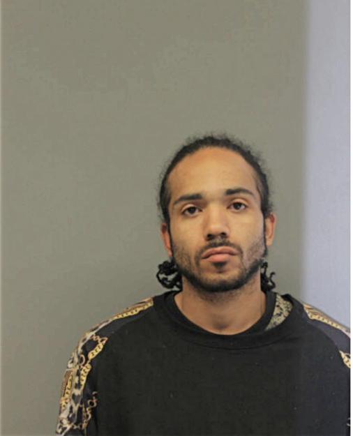 ROBERT J FLEMING, Cook County, Illinois