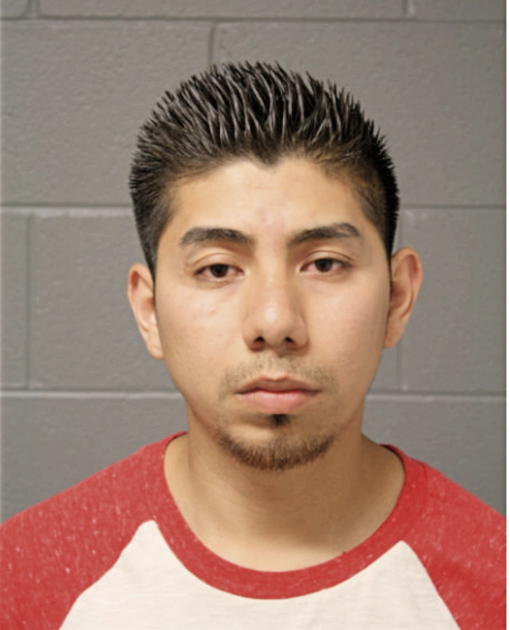 DAVID M HERNANDEZ, Cook County, Illinois