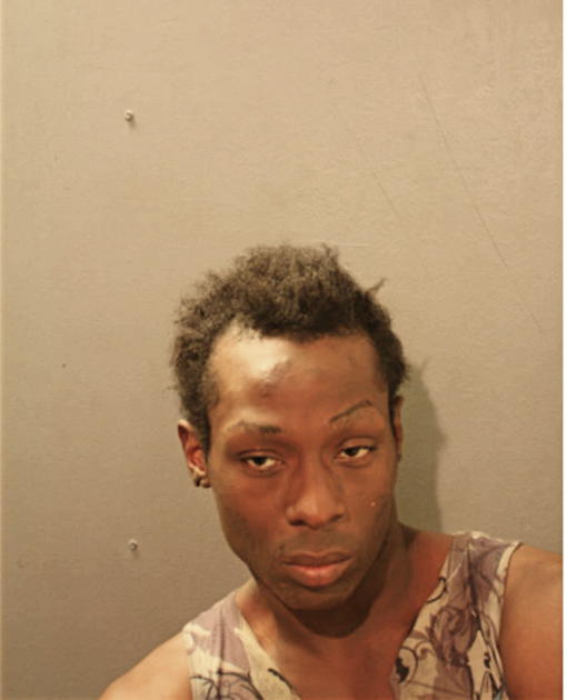 SAMUEL D HIGGINS, Cook County, Illinois